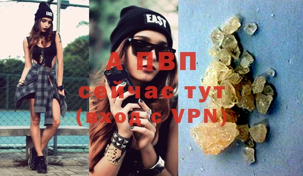 Альфа ПВП Ростов