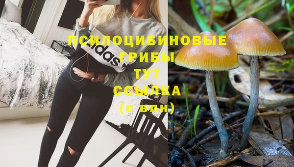 мдма Россошь
